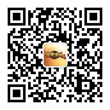 微信公众号 微信公众号